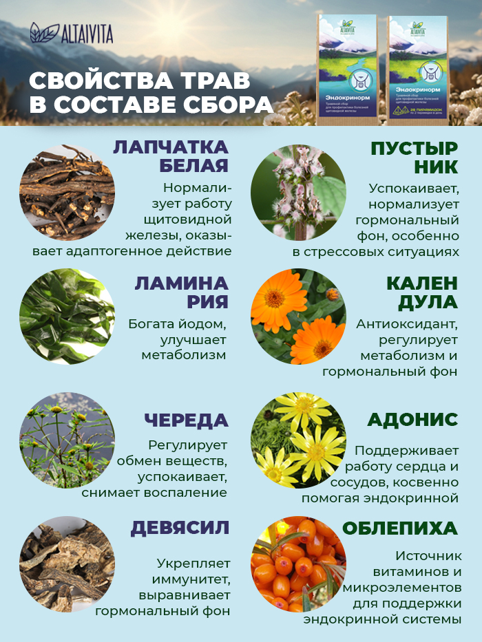 Купить сбор для лечения щитовидной железы Эндокринорм: цена, состав, отзывы